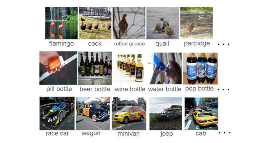 Image Classification