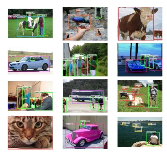 Object Detection