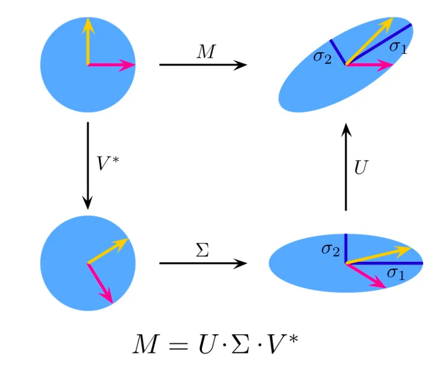 SVD visualization of the different operations.