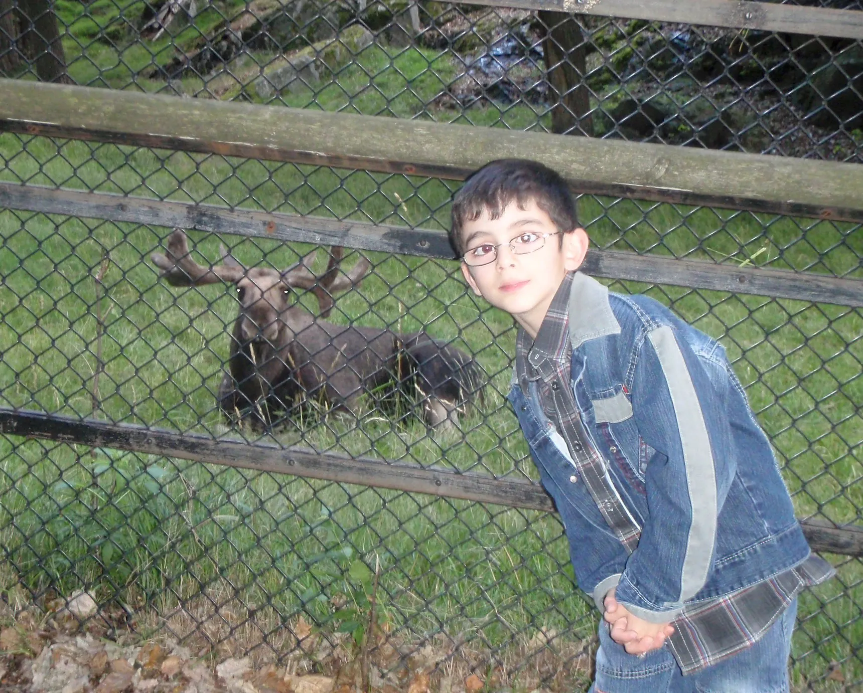 Little Reza with a moose:).