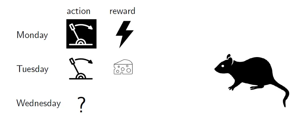 Our rat agent with two levers