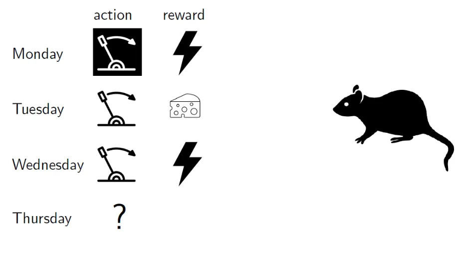 Our rat agent needs to explore more...